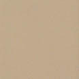 Sample Chip 41 Matte Parchment